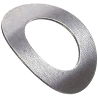 WASHERS SPRING